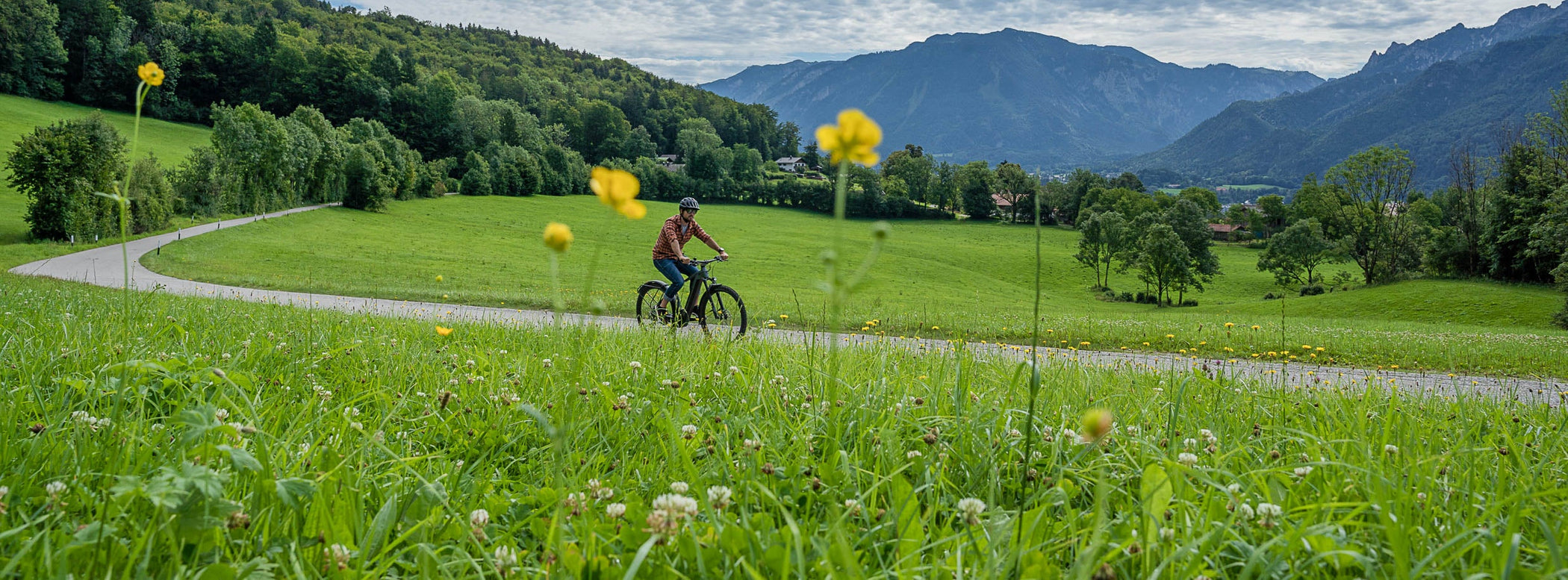 Vélos électriques reconditionnés