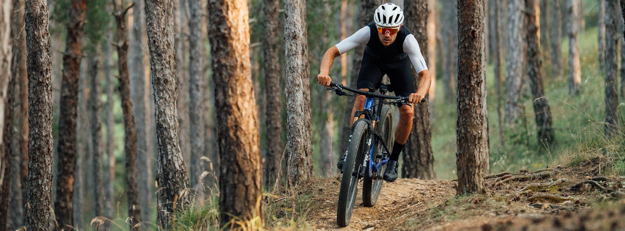 Vélos reconditionnés musculaires