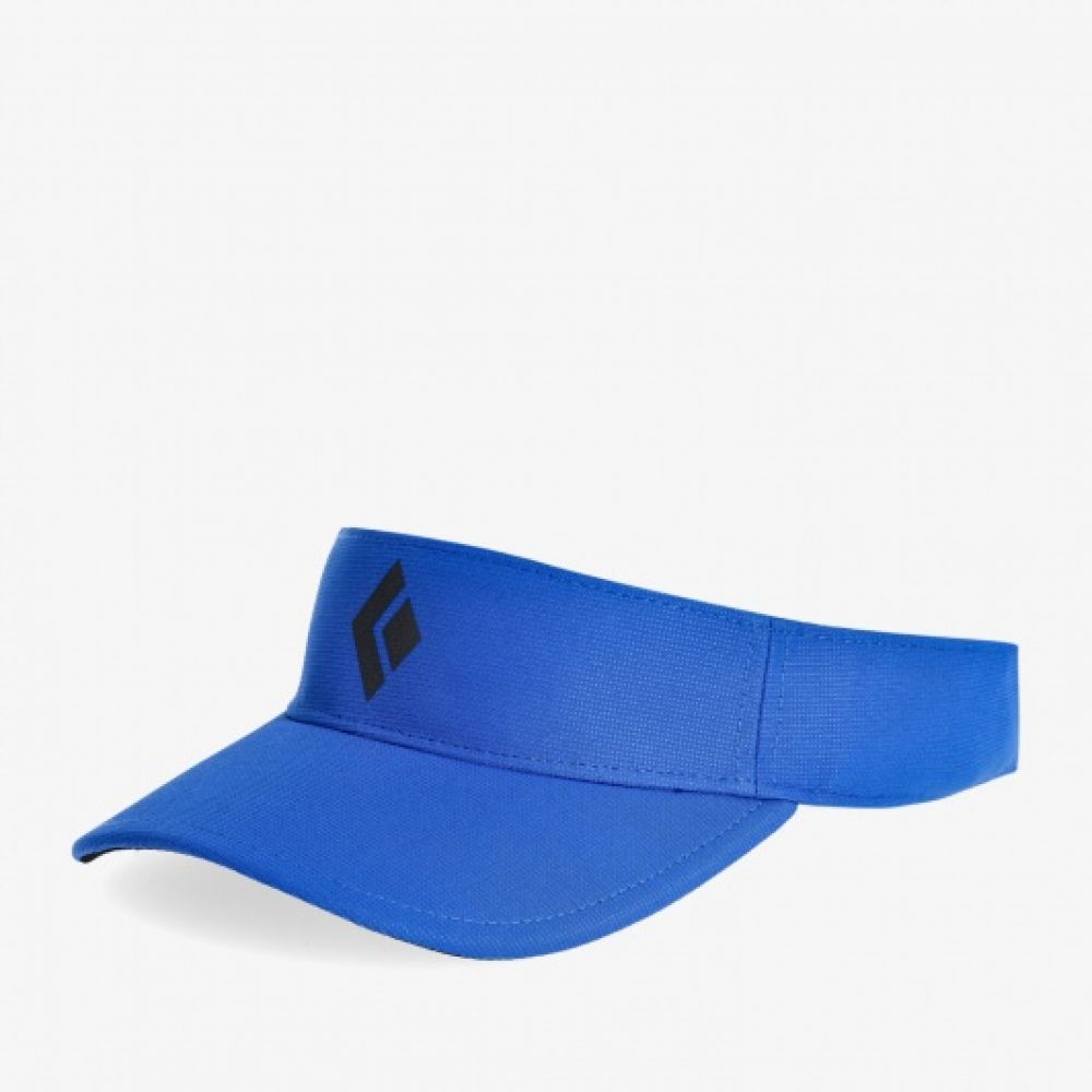 WM - Dash Visor - Bleu