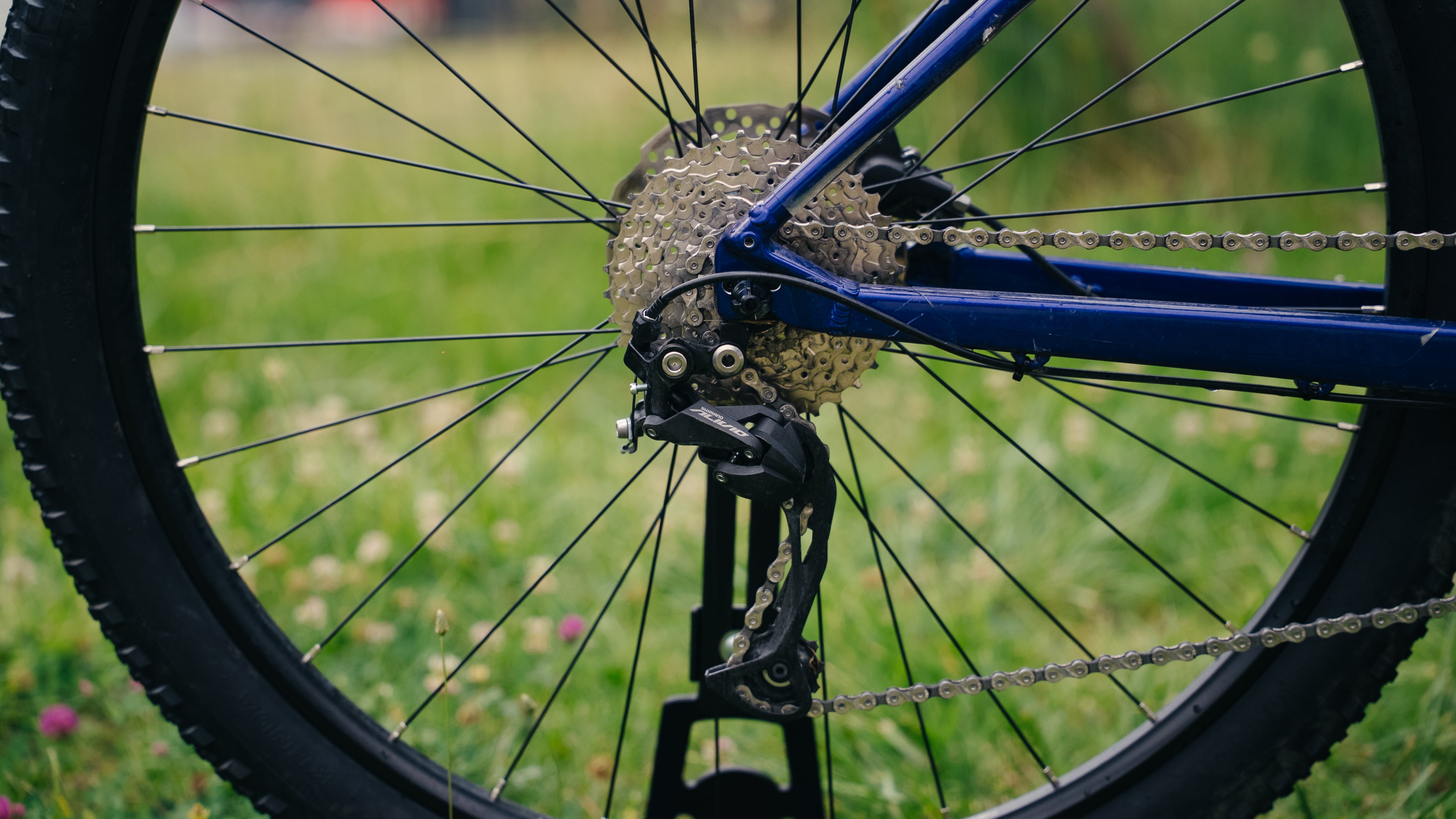 ORBEA 2024 - ONNA 40 BLV-BLA