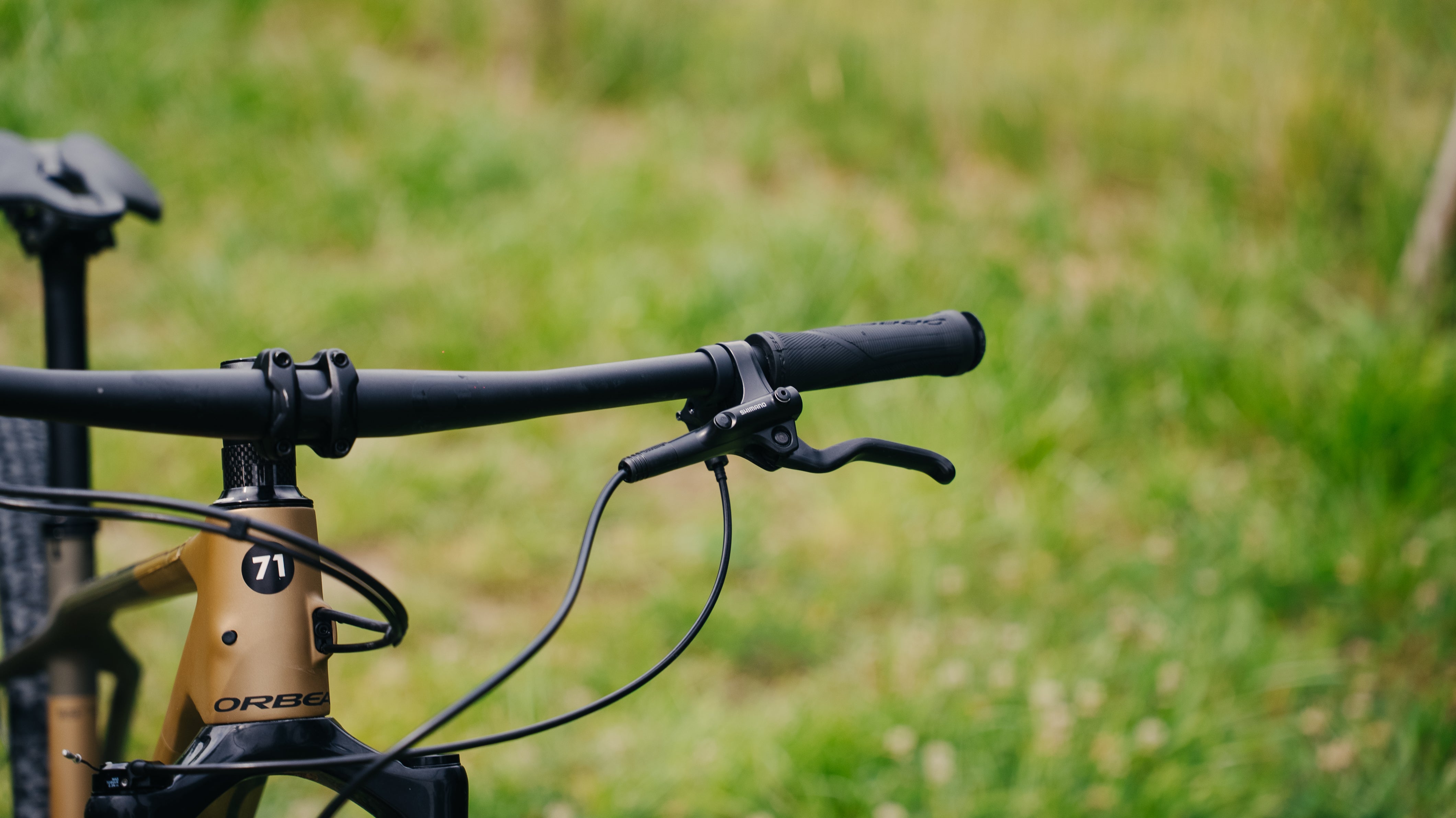 ORBEA 2024 - ALMA M50 GRO-GRN