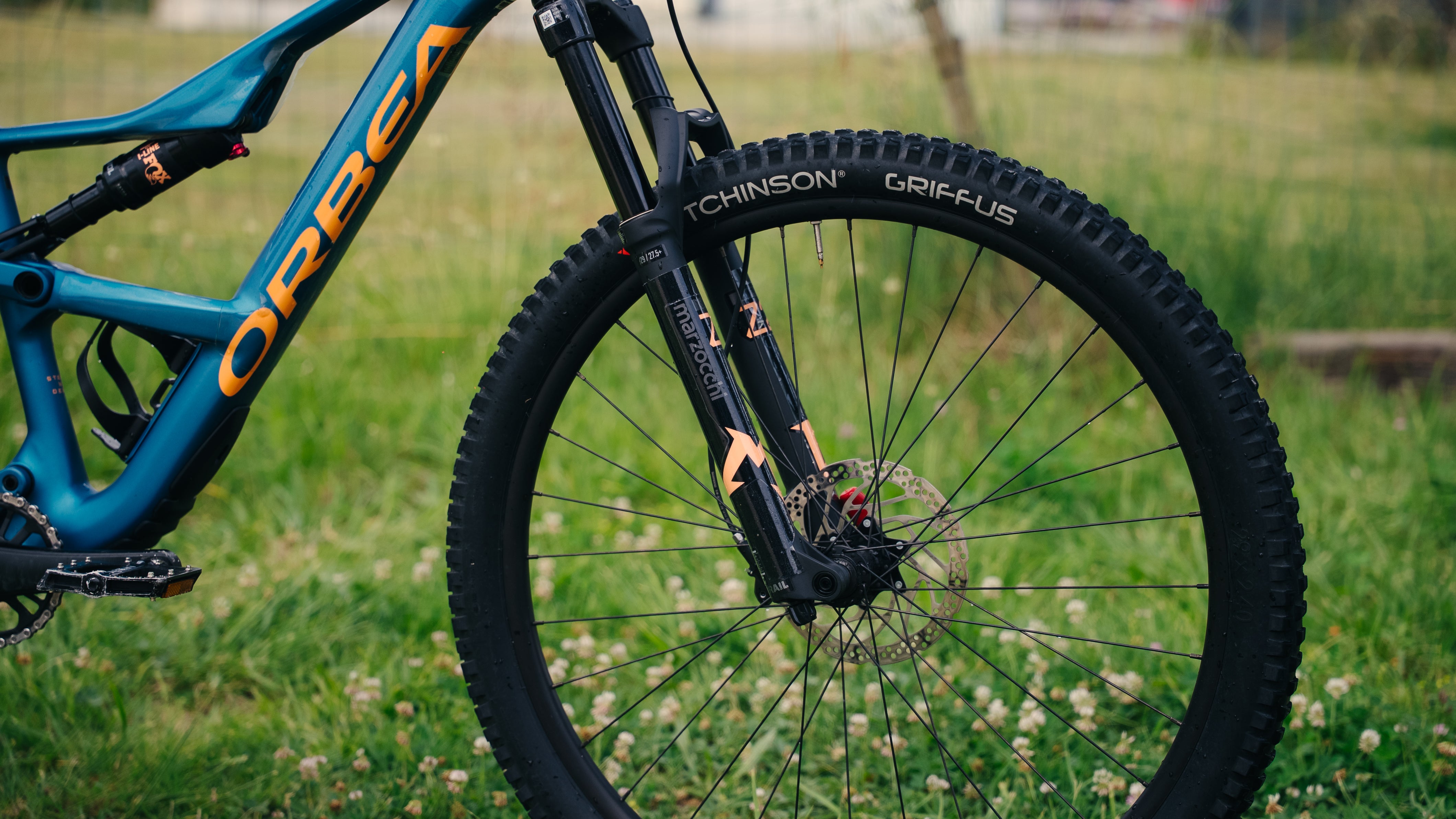 ORBEA 2024 - OCCAM SL H30