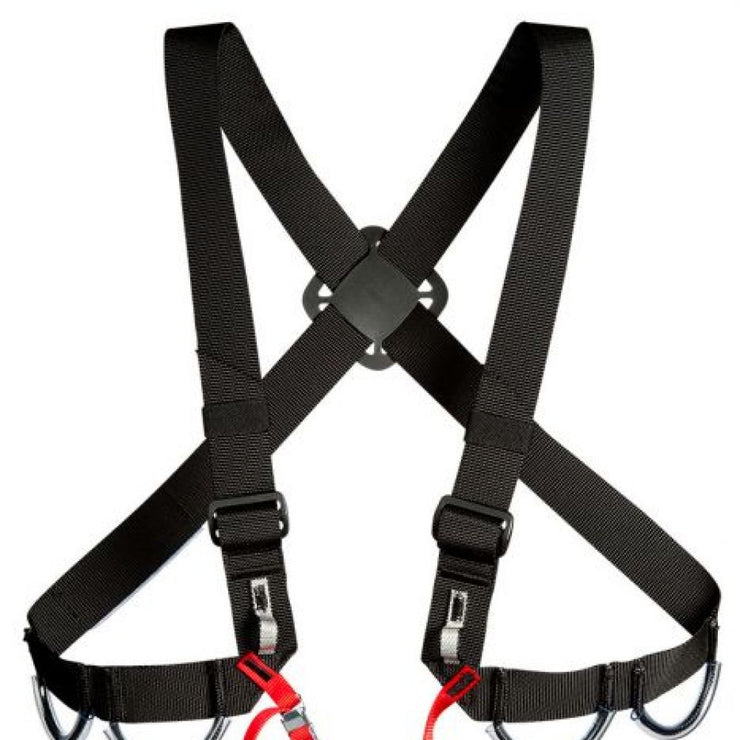 Torse Spelshoulder