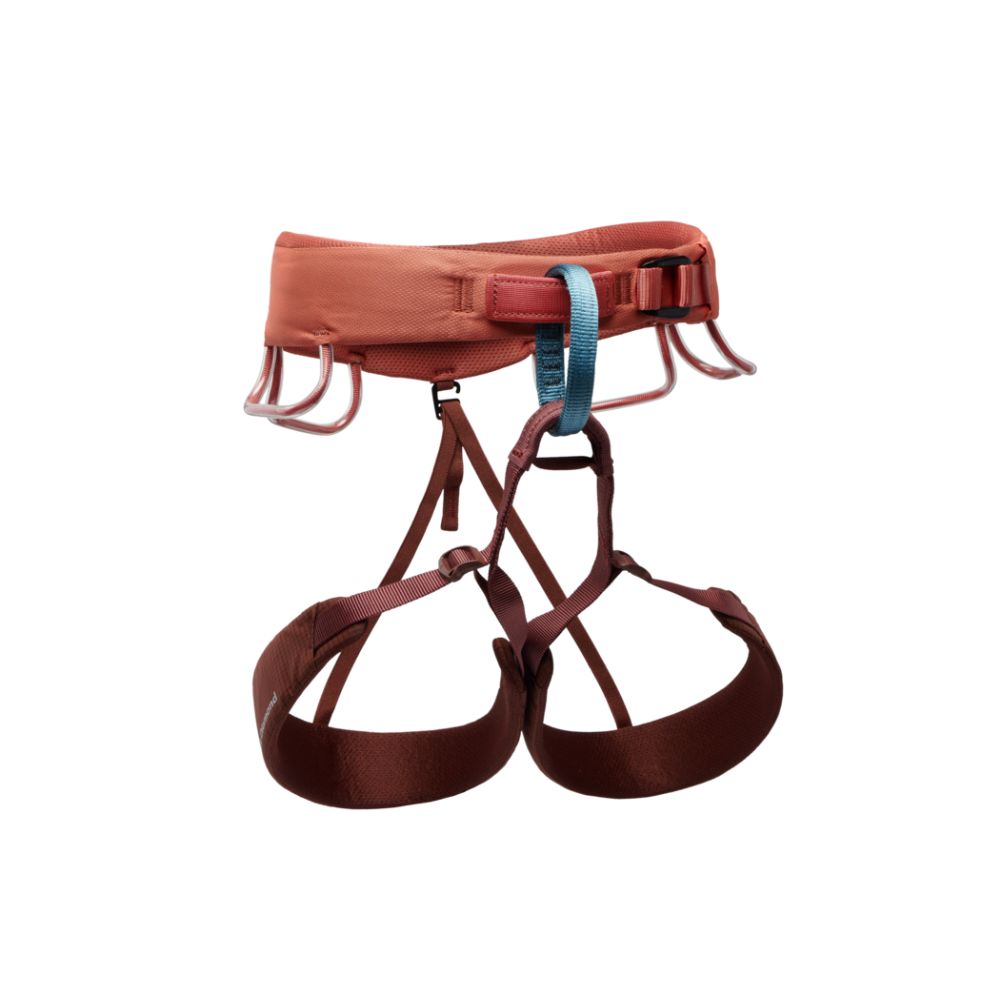 W MOMENTUM HARNESS