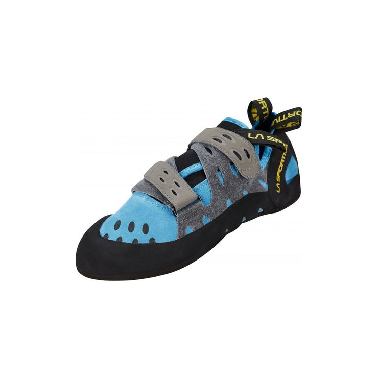 Tarantula Blue